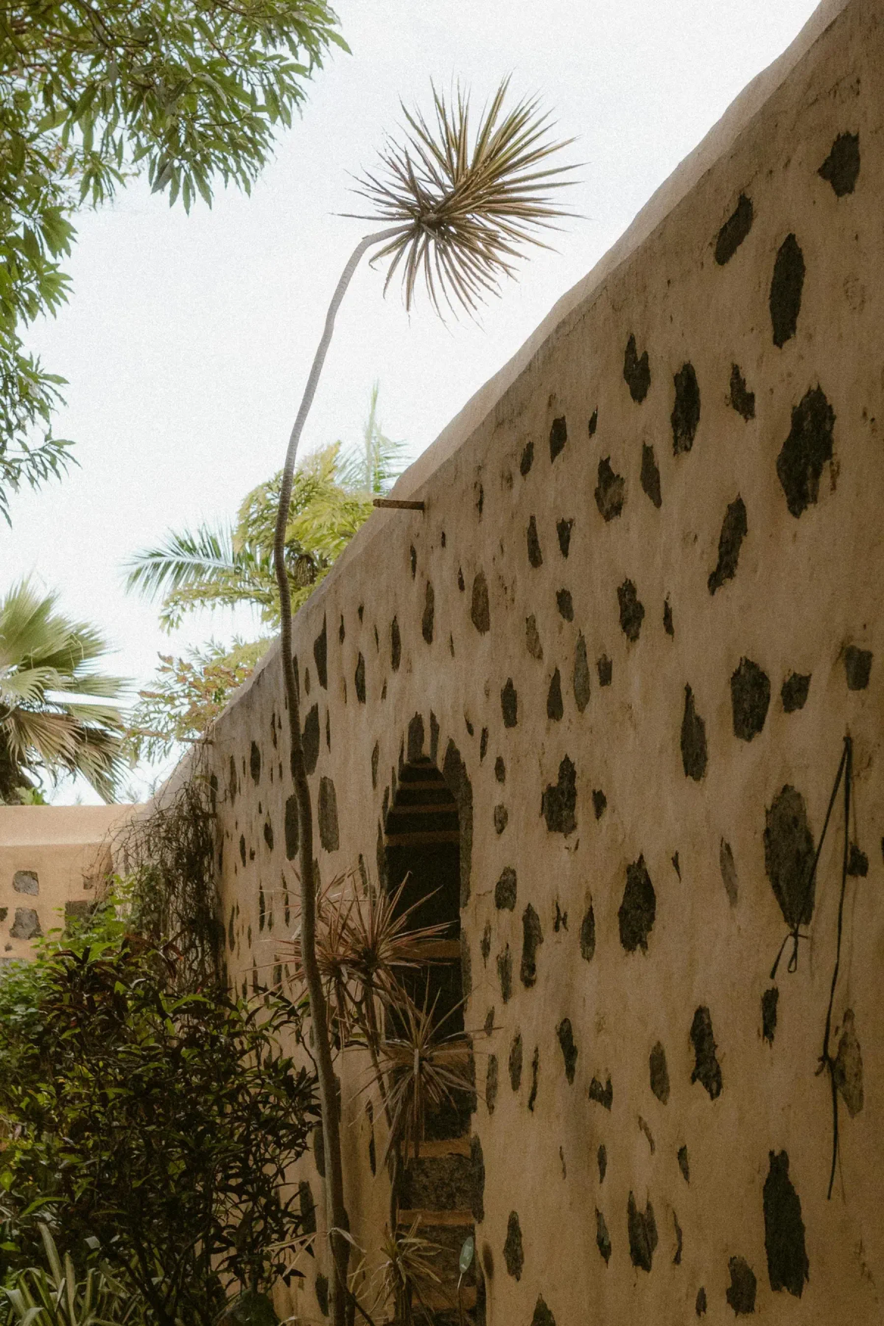 Low stone boundary wall at a Canberra residential frontage